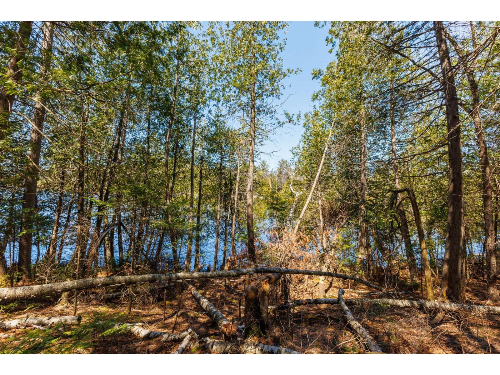 For sale: 134 Ch. de la Rive, Low, Quebec J0X2C0 - 19236680