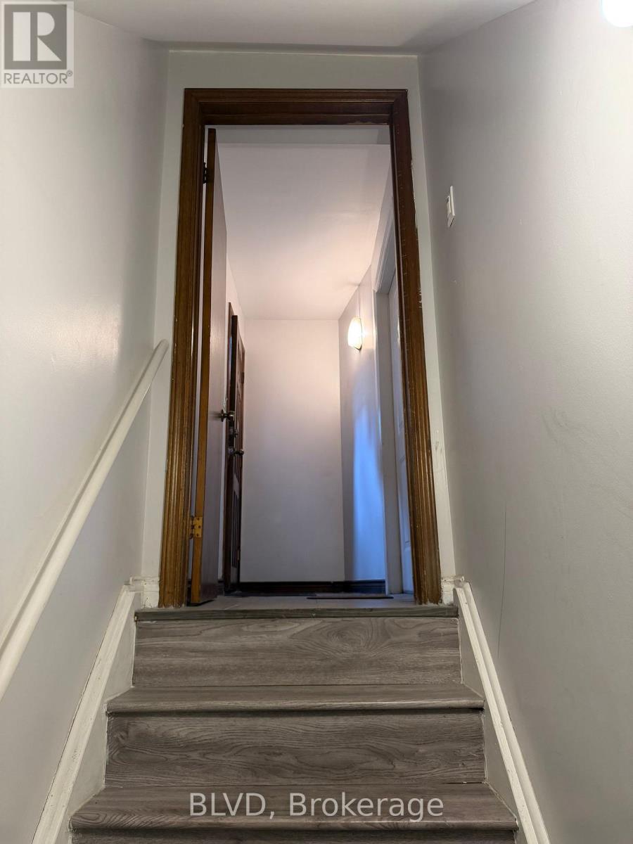 House – BSMNT - 39 JOHNSTON AVENUE, Toronto – photo 3