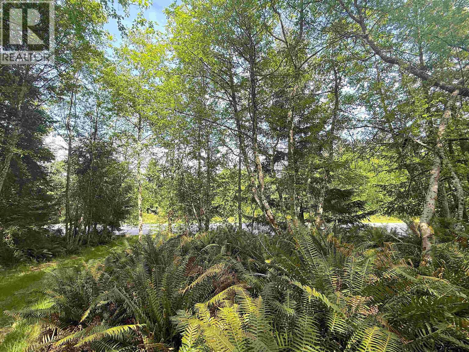 Lot 11 BODEGA BEACH DRIVE