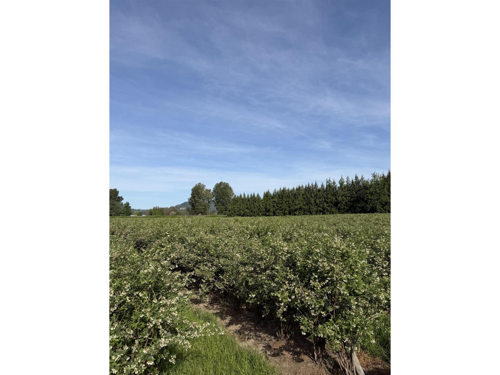 For sale: 8573 S RIVER ROAD, Mission, British Columbia V0M1H0