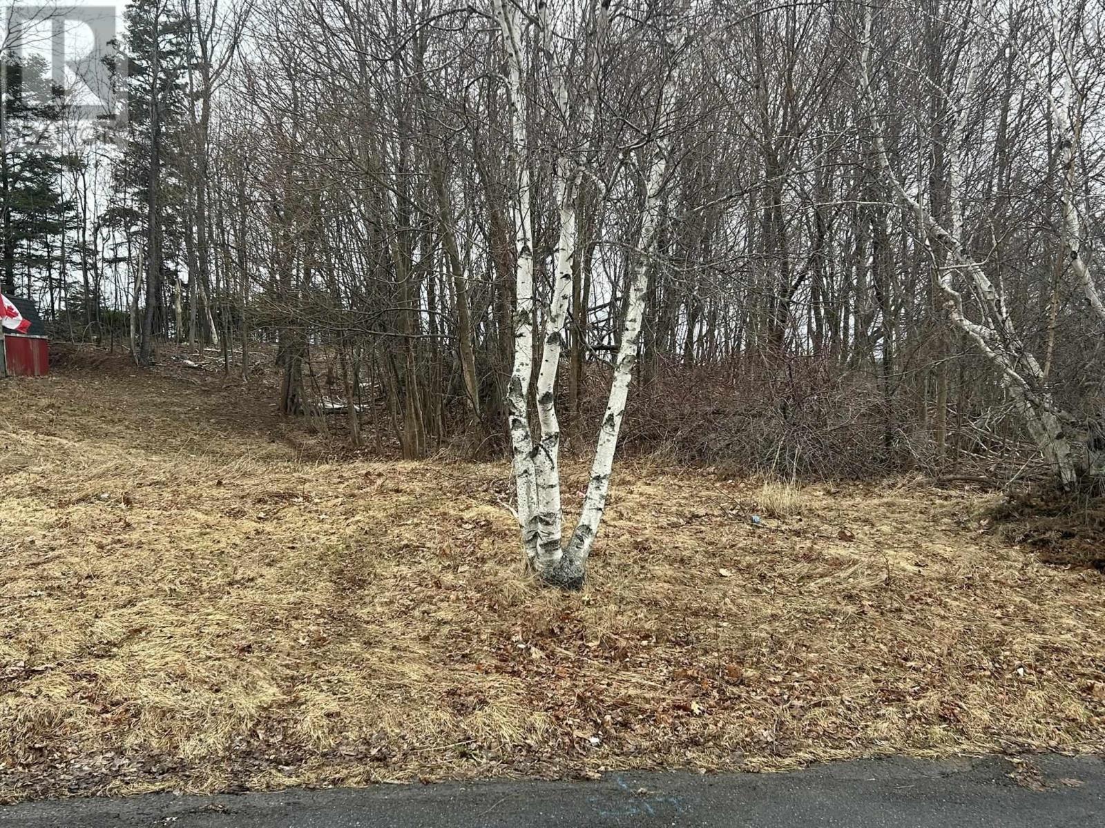 Lot 1 511 BIRCH Street, New Glasgow, Nova Scotia B2H1Y2