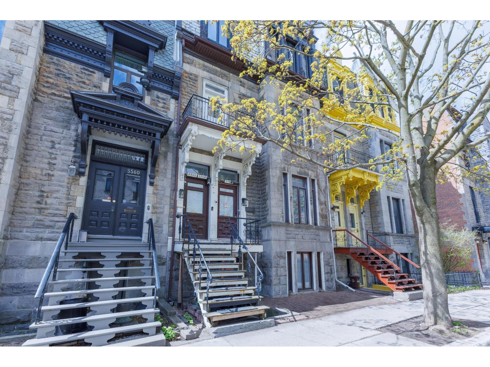 For rent: 3564 Rue Hutchison, Montréal (Le Plateau-Mont-Royal), Quebec ...