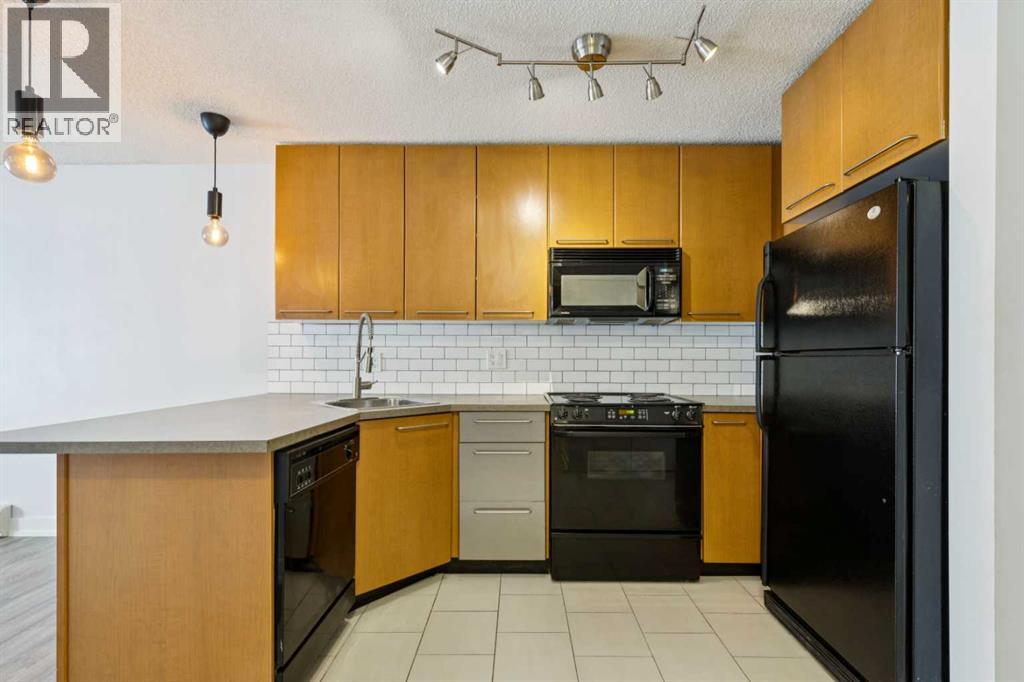 Apartment for Sale in 205, 35 Richard Court SW|Calgary, Alberta T3E7N9 3