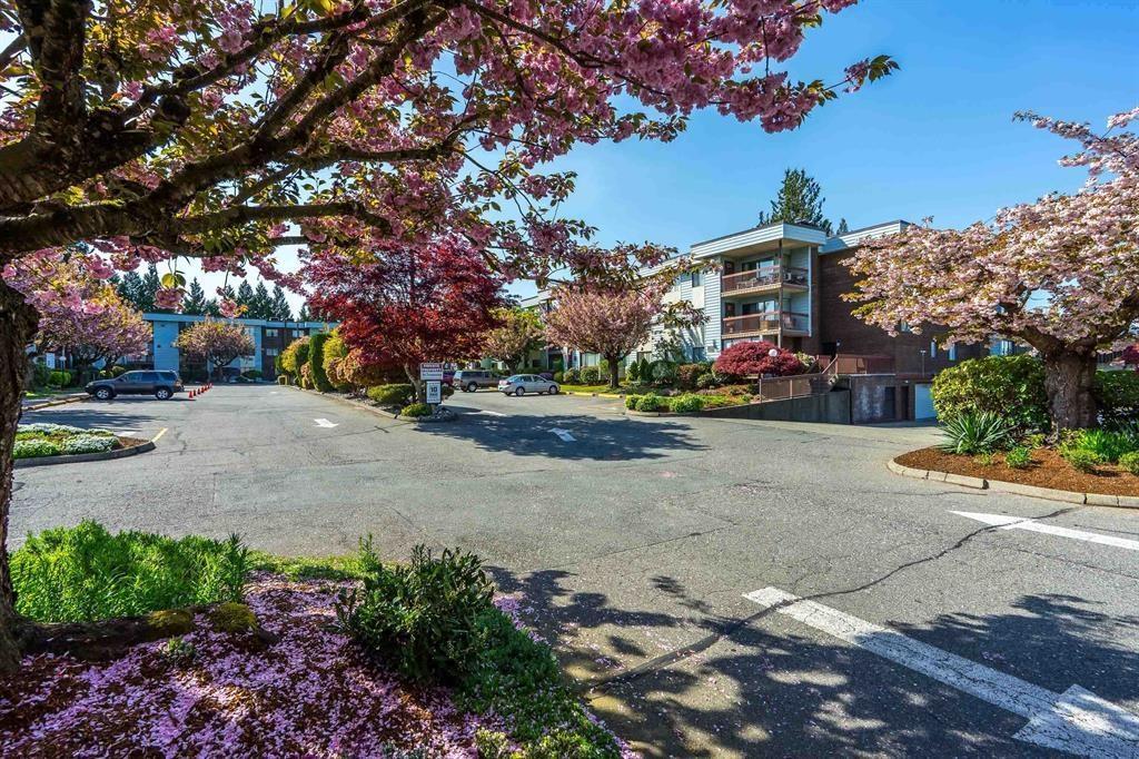 302 2279 MCCALLUM ROAD, Abbotsford, British Columbia V2S3N7