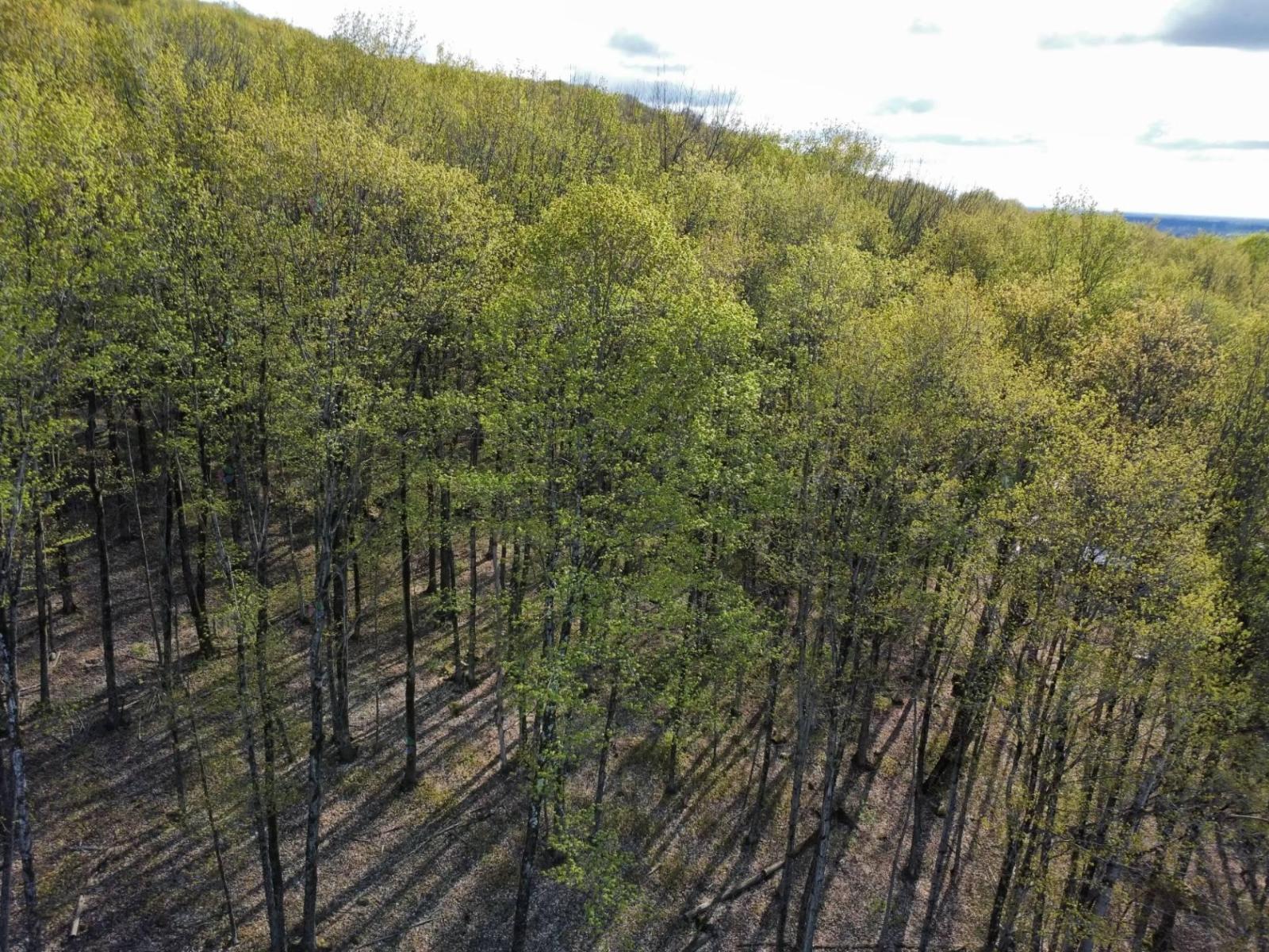Rue de Huntingdon, Dunham, Quebec J0E1M0