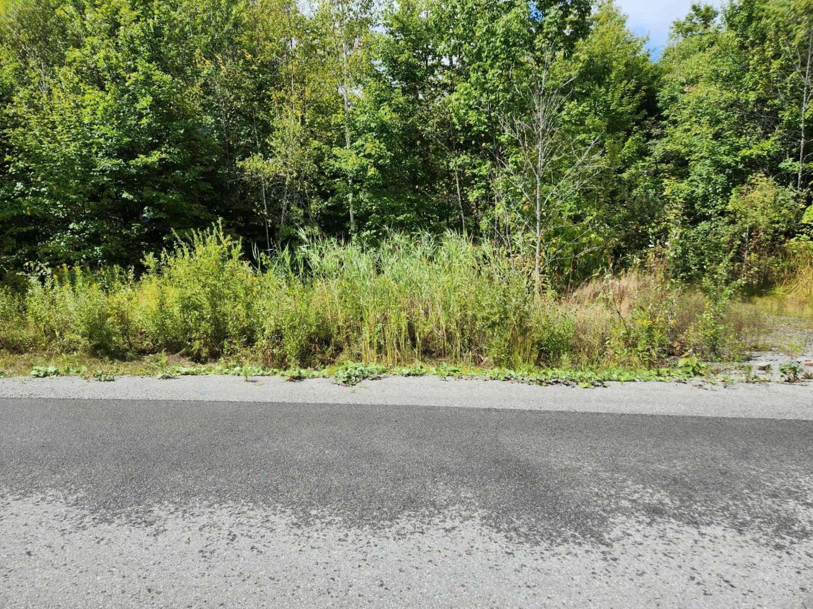 51 Rue Monette, Saint-Hippolyte, Quebec J8A0G1