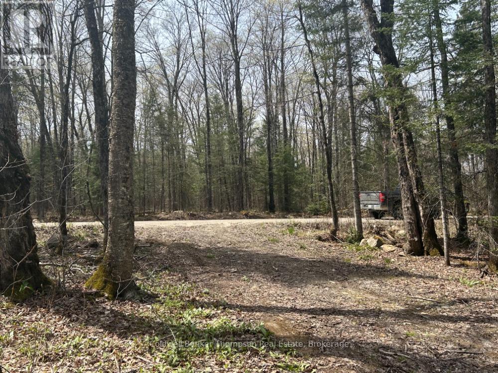 property-image