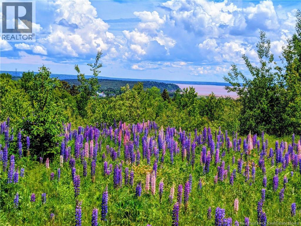 1266 Albert Mines Road, Lower Cape, New Brunswick E4H1X1