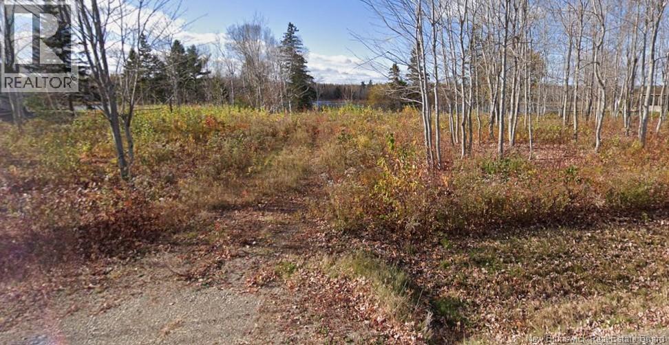 4062 SQM R. Carrie