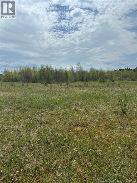 Lot 21-1 WILL ROGERS Road, Lutes Mountain, New Brunswick E1G2X7