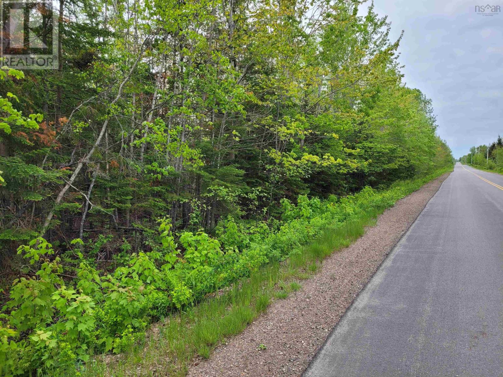 Tattrie Settlement Road