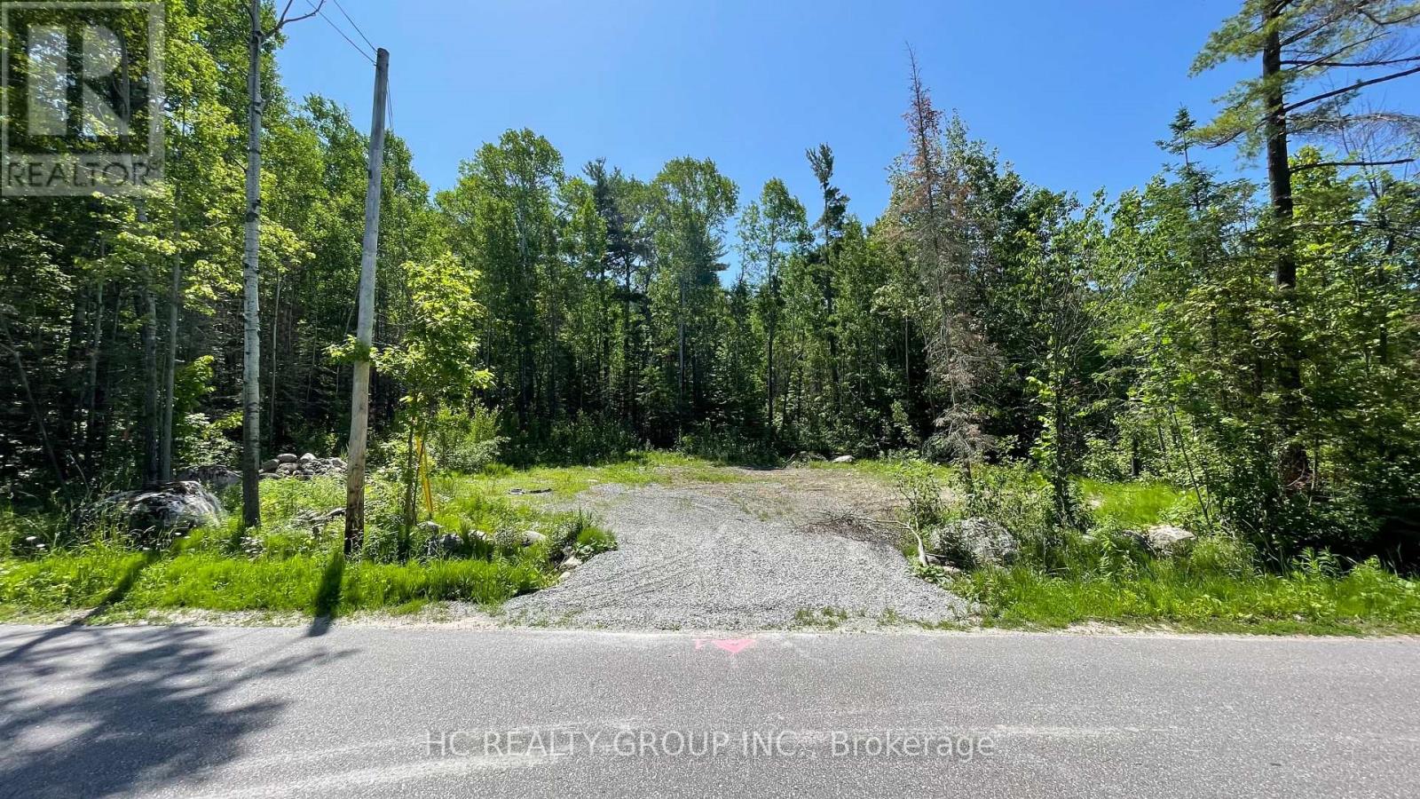 LT101 SILVER BIRCH DRIVE