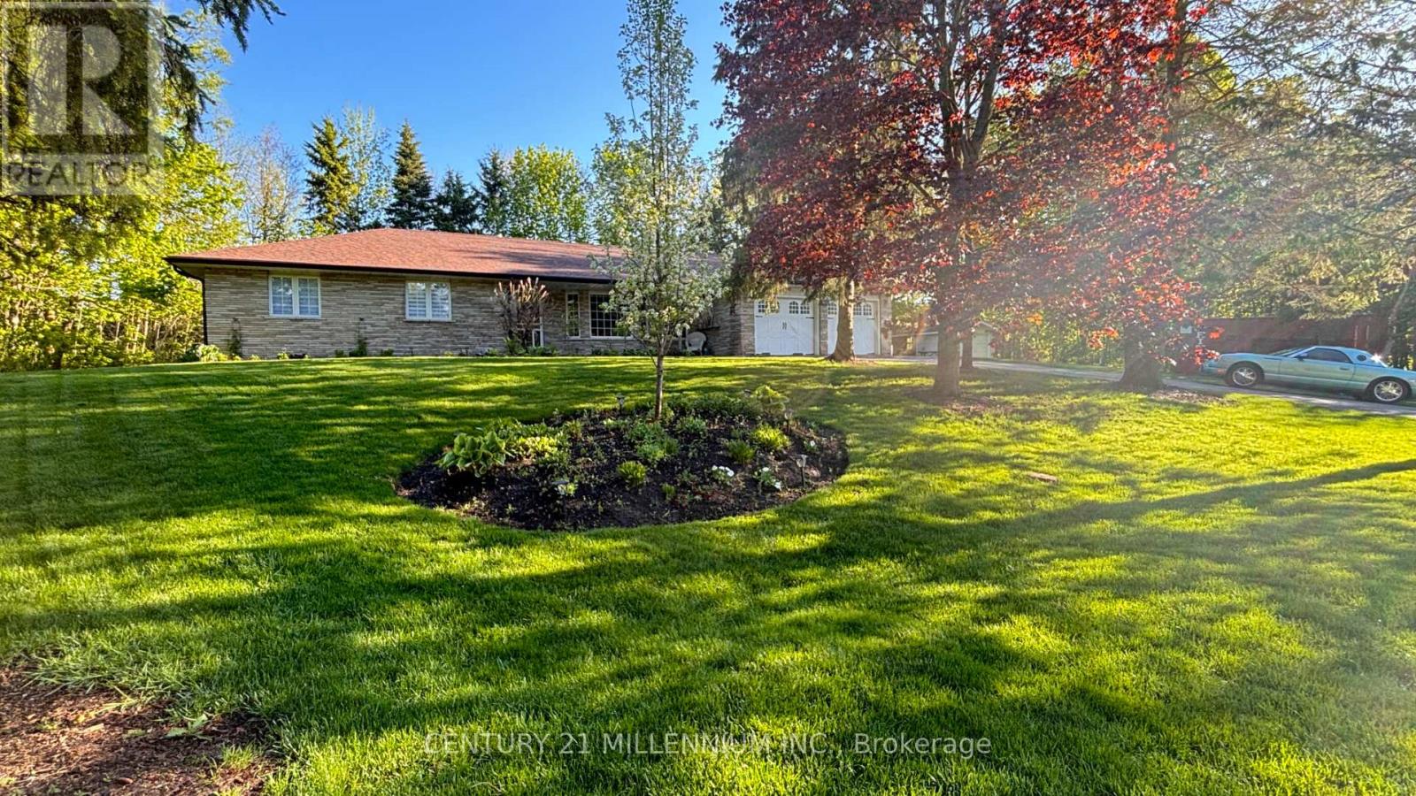 101 BIRCH GROVE