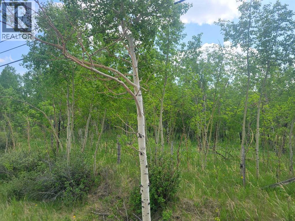 Property for Sale in 24166 Old Banff Coach Road|Rural Rocky View County, Alberta T3Z3N4 4