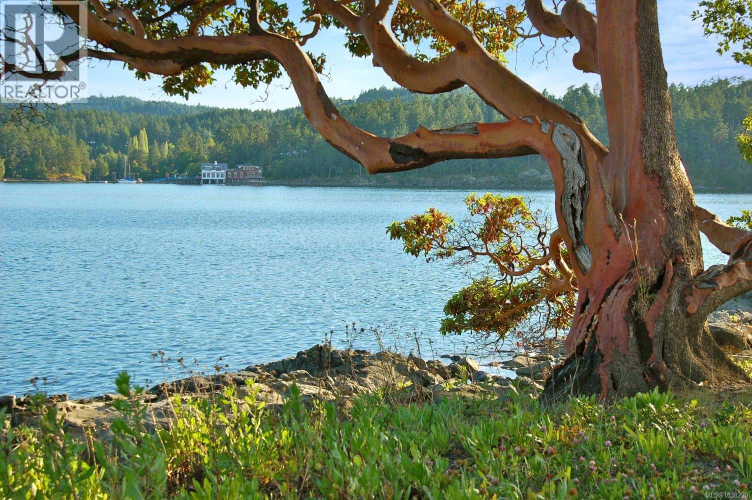 0 Fane Island