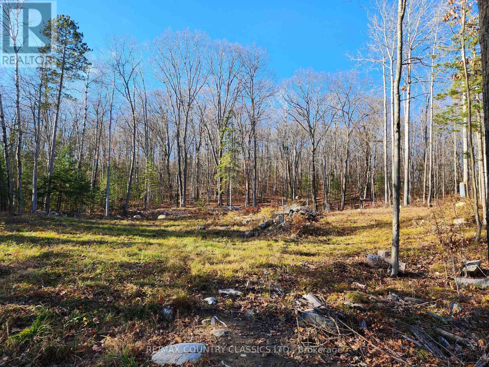 790 MITCHELL ROAD
