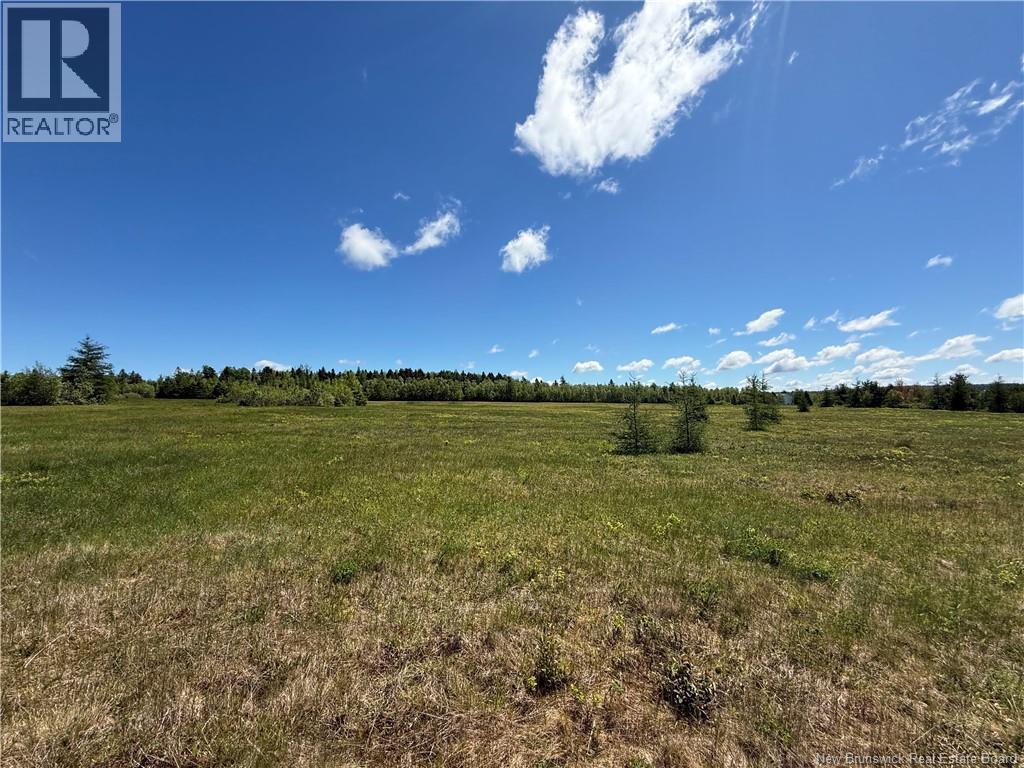 Lot 07-7 Windy Hill, Indian Mountain, New Brunswick E1G3B1