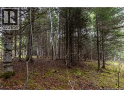For sale: Lot Enterprise Road, Enterprise, New Brunswick E7G1M3