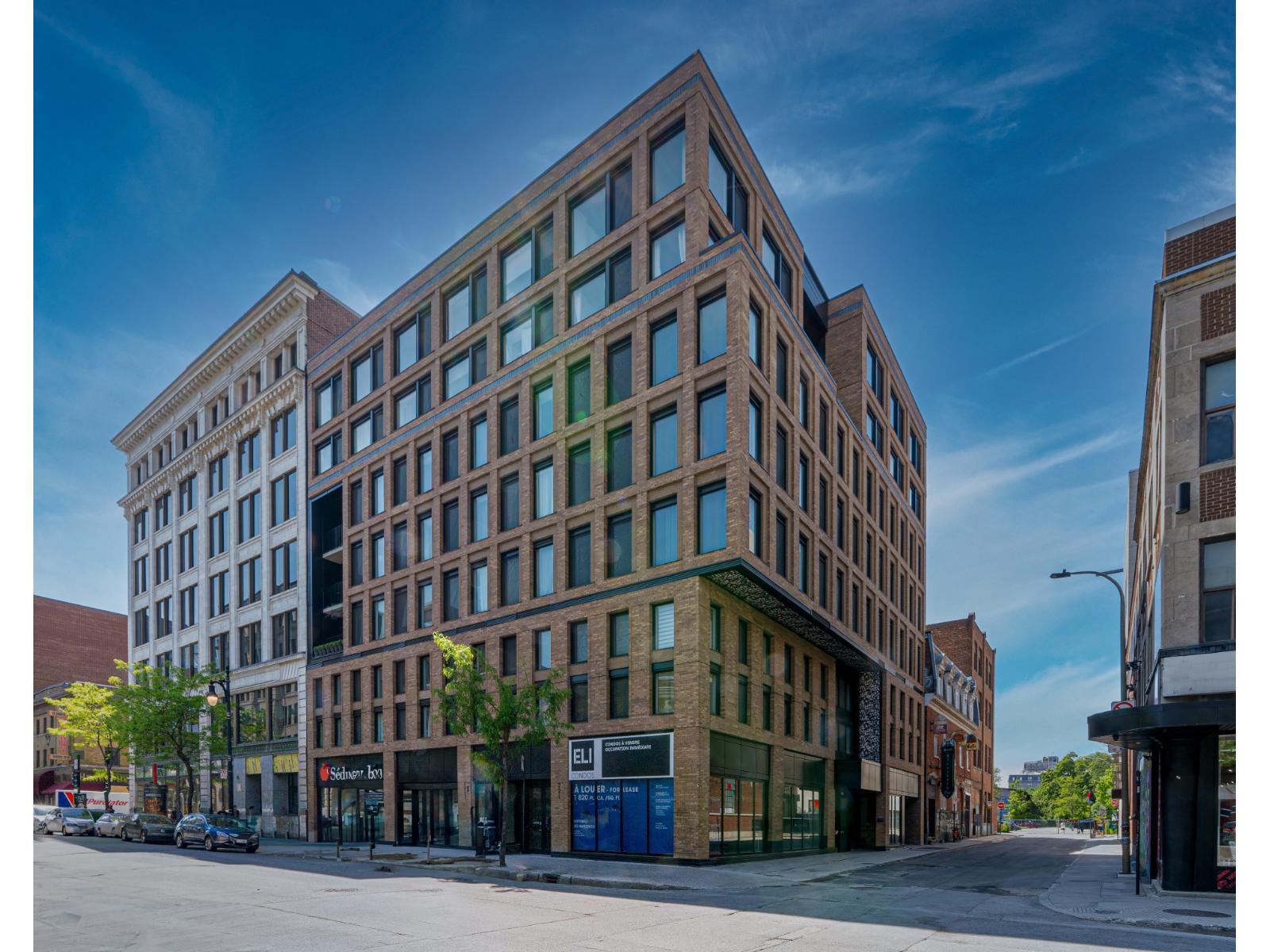 1406 Rue Ste-Élisabeth, #410, Montréal (Ville-Marie), Quebec H2X3C6