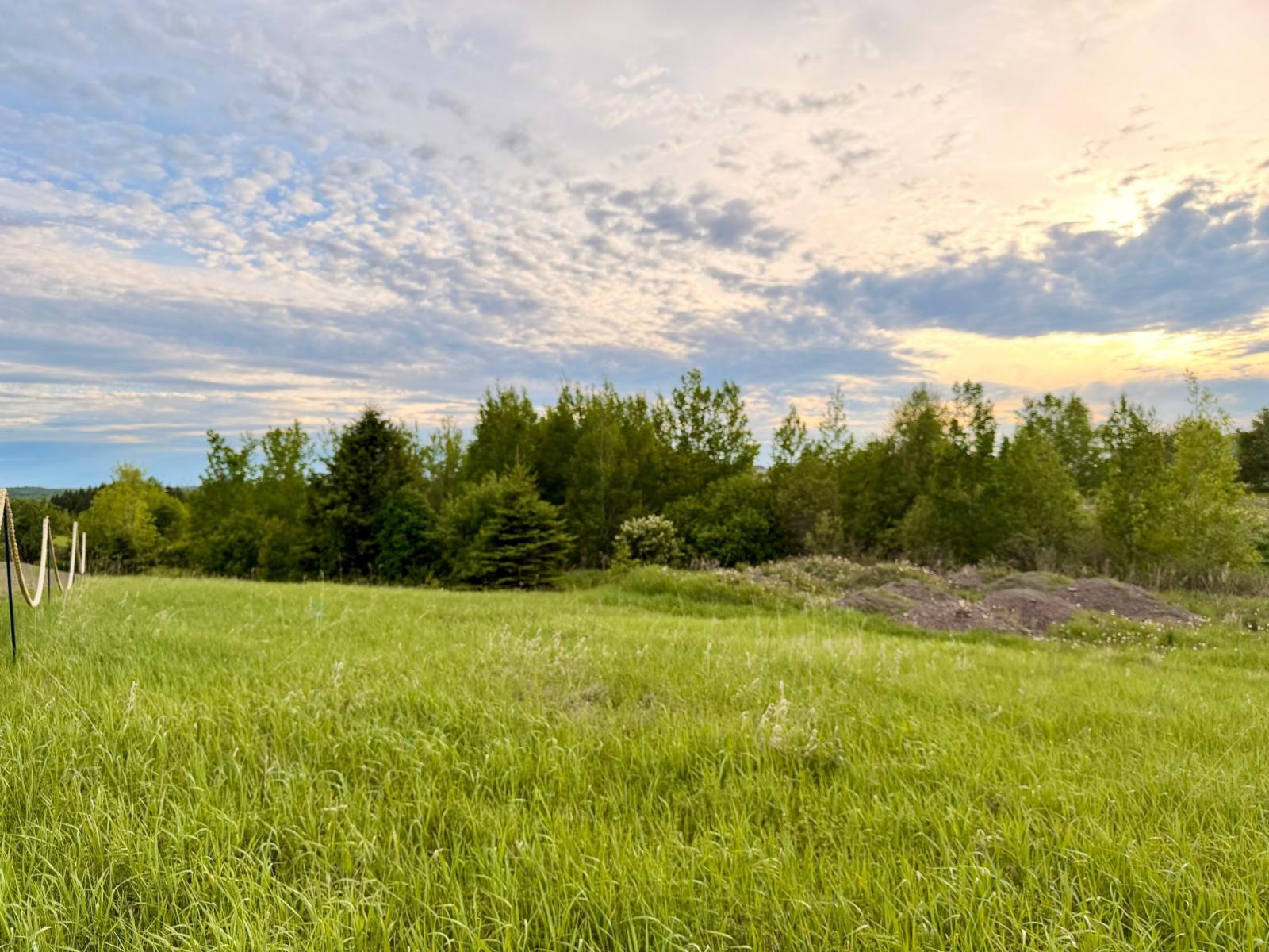 Rue Roy, Saint-Joseph-de-Lepage, Quebec G5H4A9
