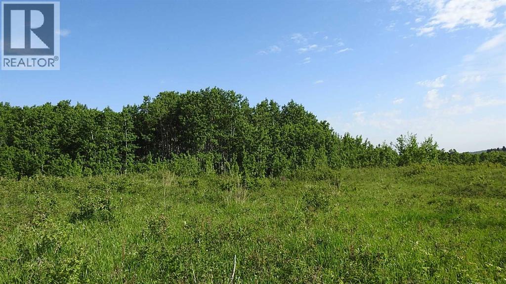 Property for Sale in 79.41 Acres SE-13-22-3W5|Rural Foothills County, Alberta T1S2T7 5
