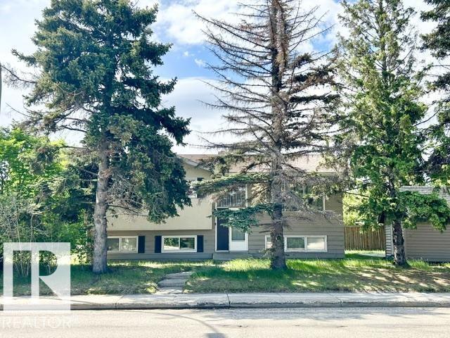 埃德蒙顿Duggan社区5卧2卫错层独立屋,转角大地块 - 4