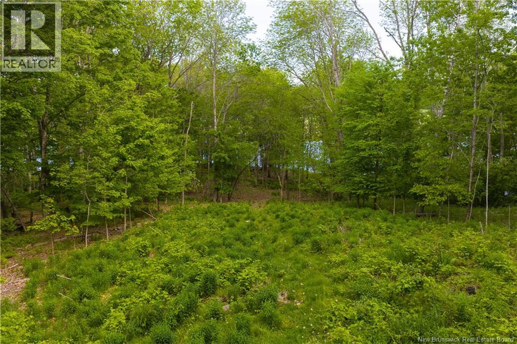 For sale: Lot Main Street, Hampton, New Brunswick E5N7G9