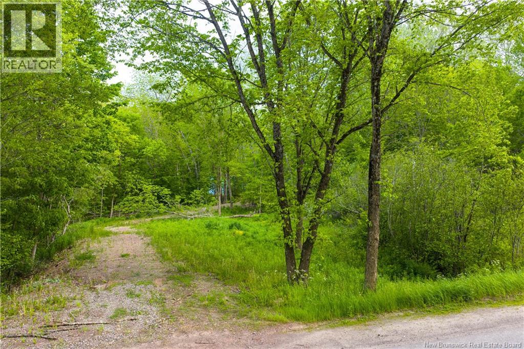 For sale: Lot Main Street, Hampton, New Brunswick E5N7G9