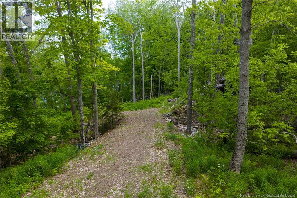 For sale: Lot Main Street, Hampton, New Brunswick E5N7G9