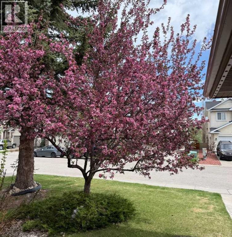 House for Sale in 186 Mt Assiniboine Circle SE|Calgary, Alberta T2Z2N6 3