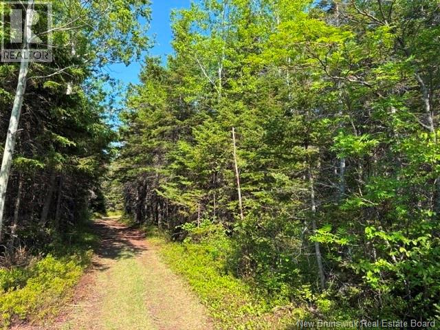 305 Haut-Lameque, Lamèque, New Brunswick E8T3M9