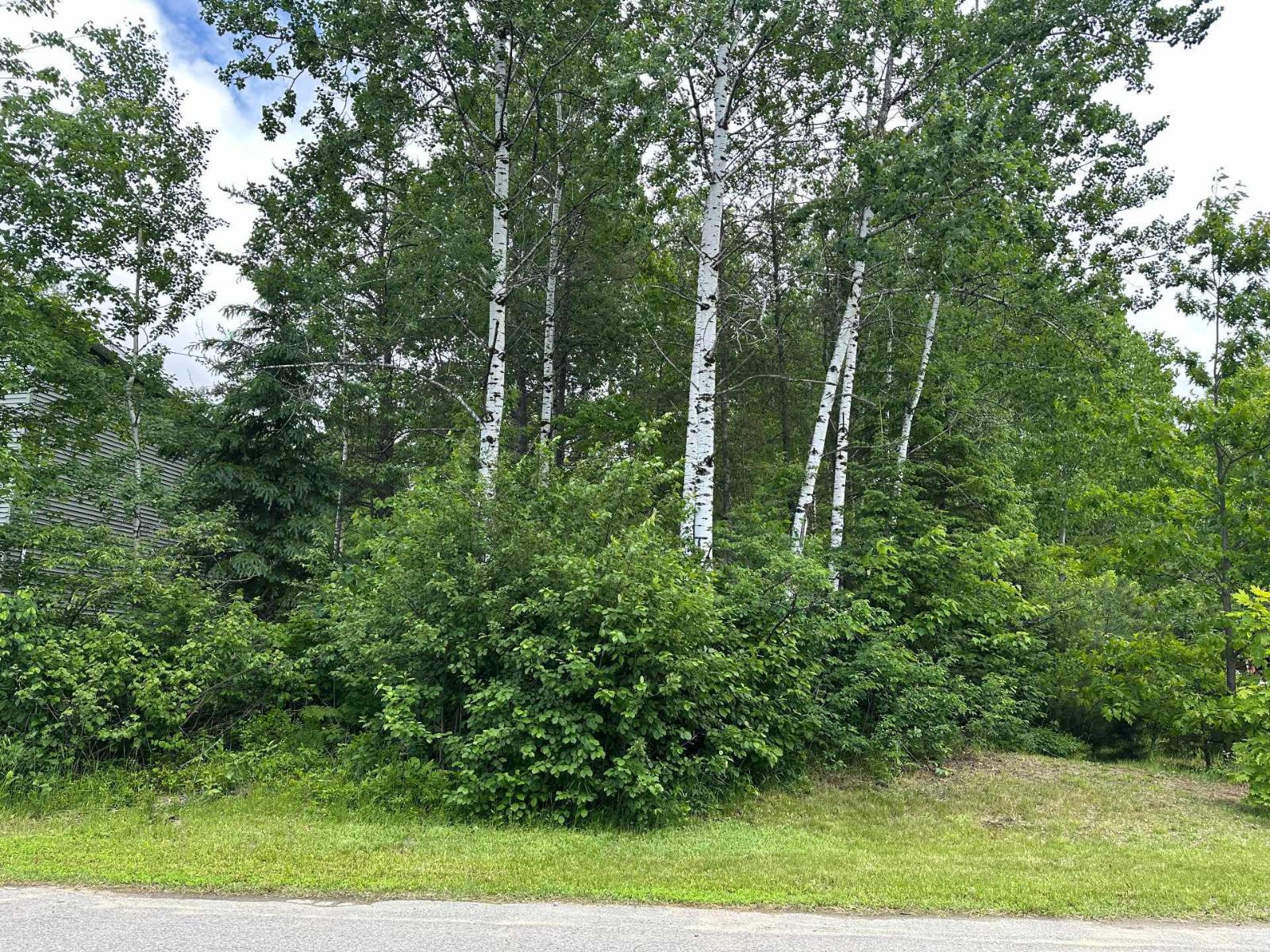 Rue des Aulnes, La Tuque, Quebec G9X4P6