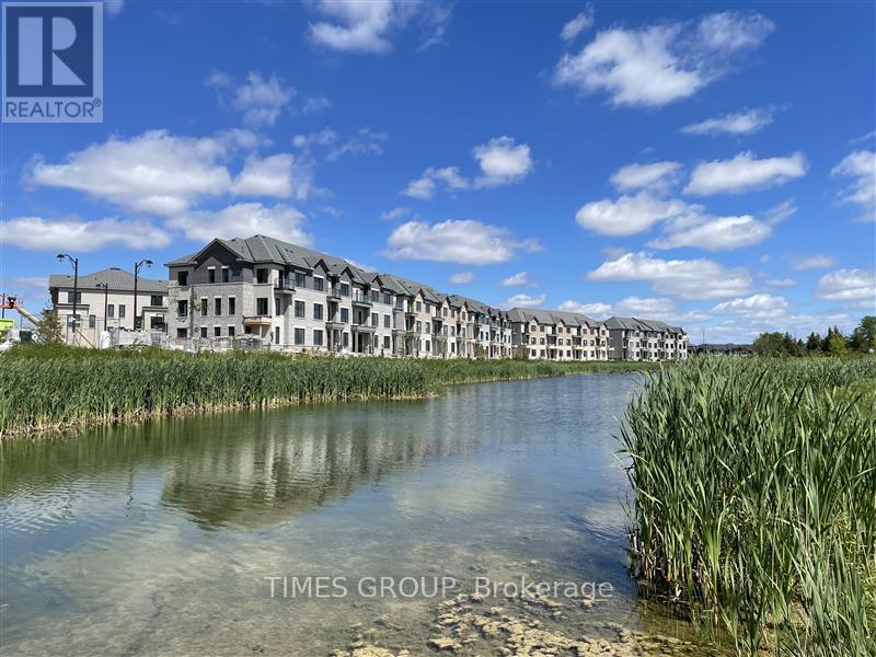 【Richmond Hill 全新4卧4.5卫联排镇屋｜双车库｜全装修地下室】 - 6