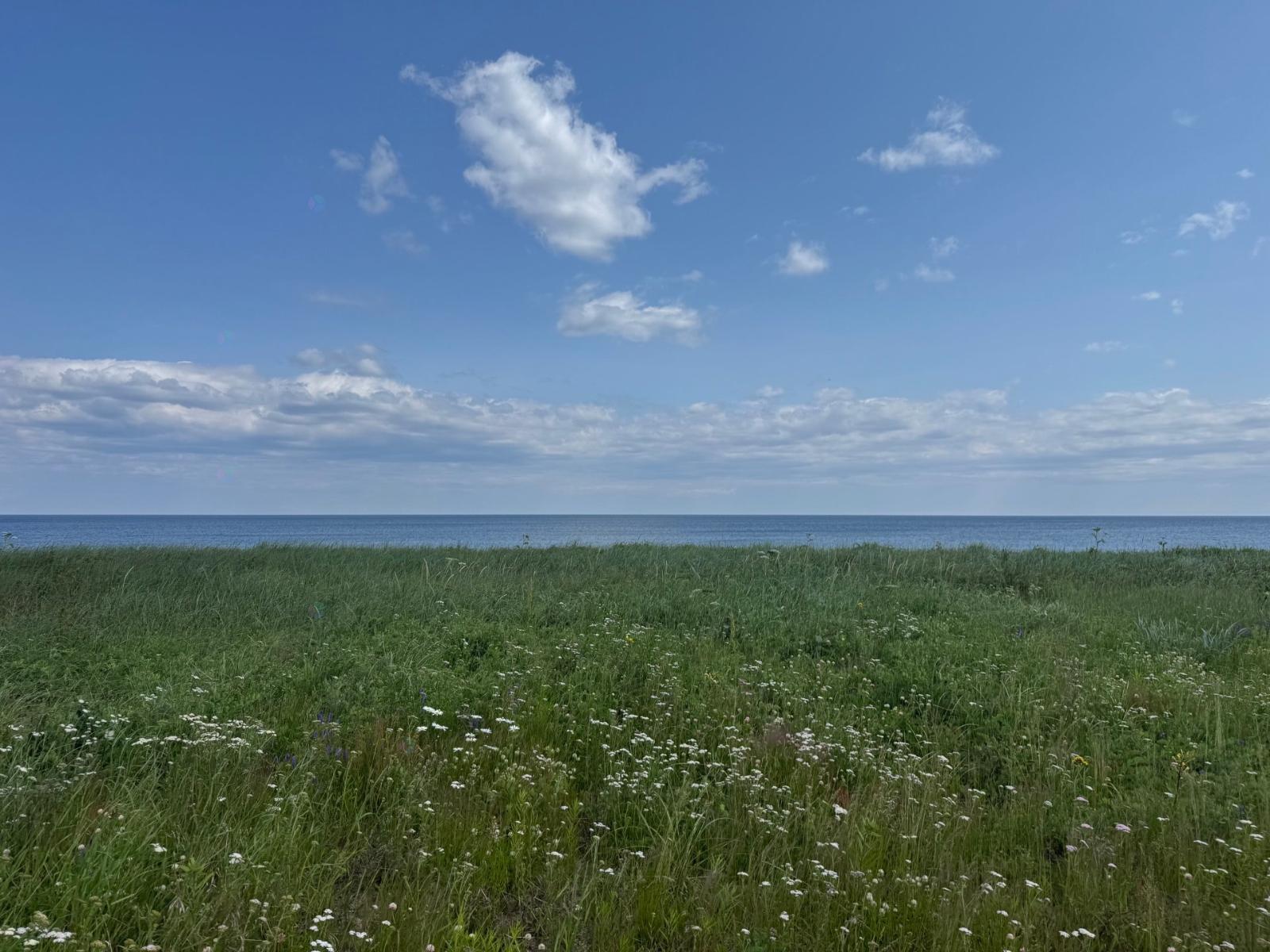 1045 Rue de la Mer