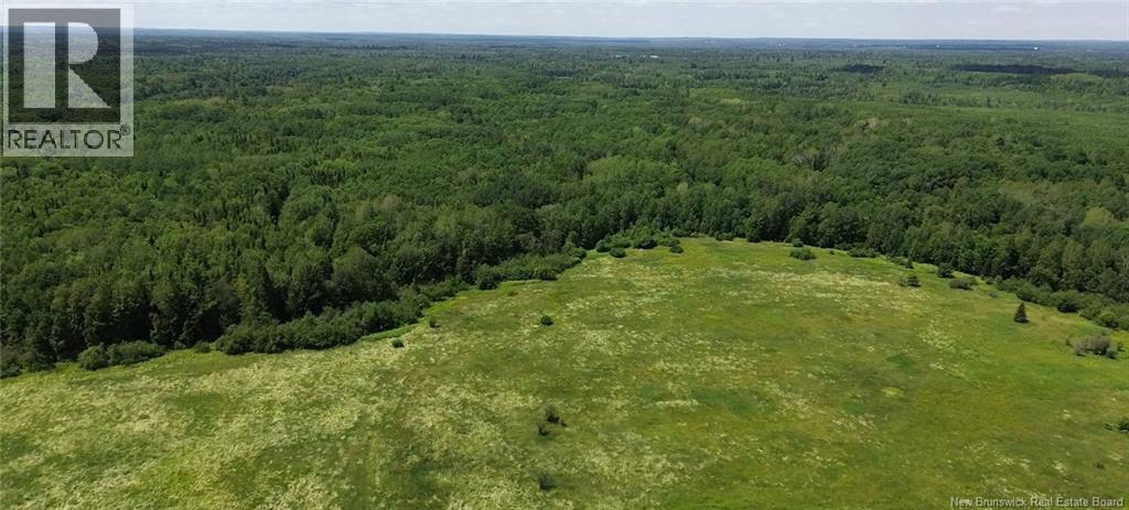 114.9 Acres Little River Drive