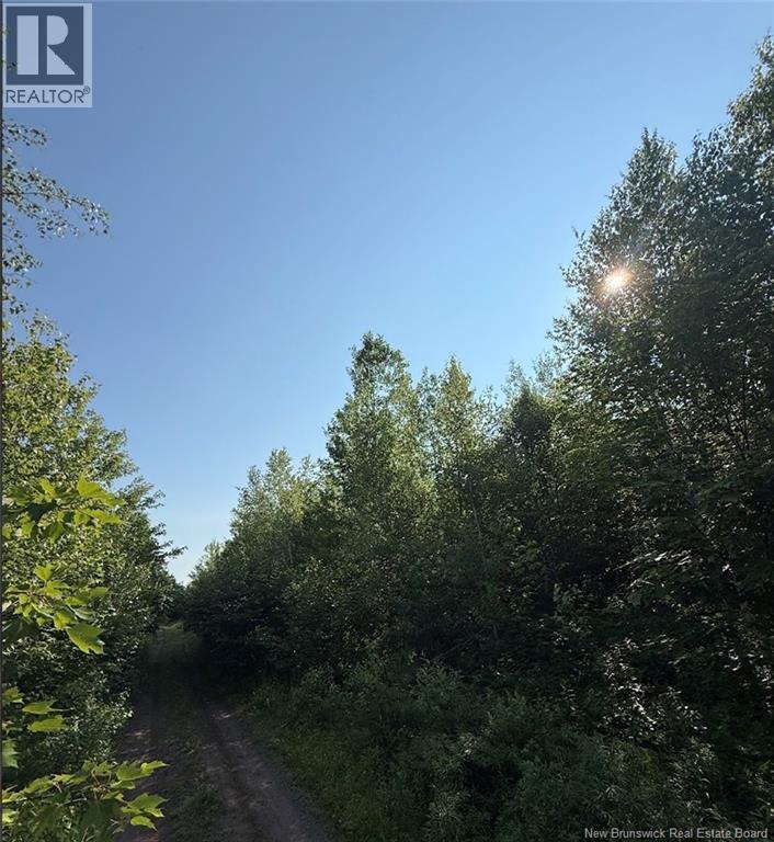 Upper Vail Road