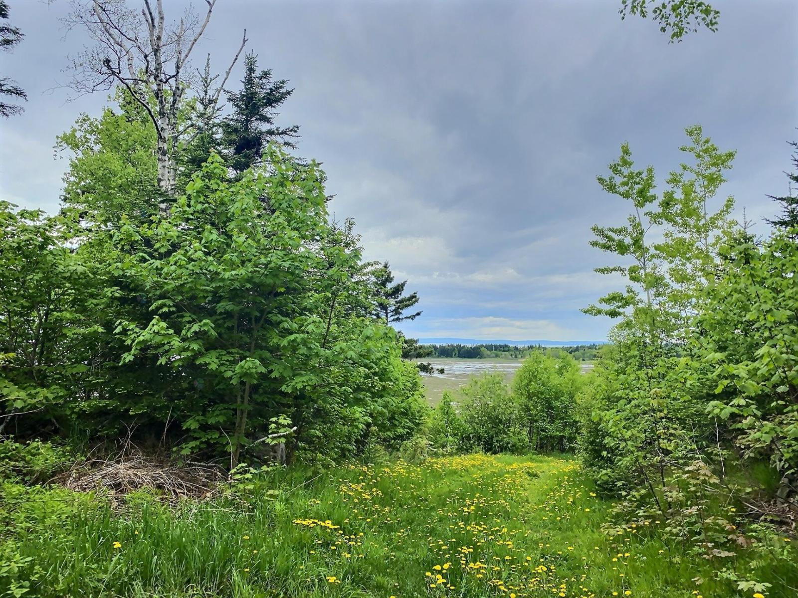 184 Route de l'Anse-au-Persil
