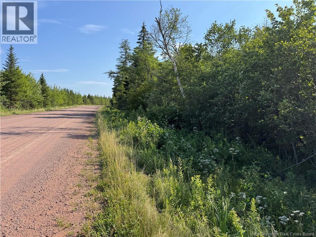 Lot Route 935