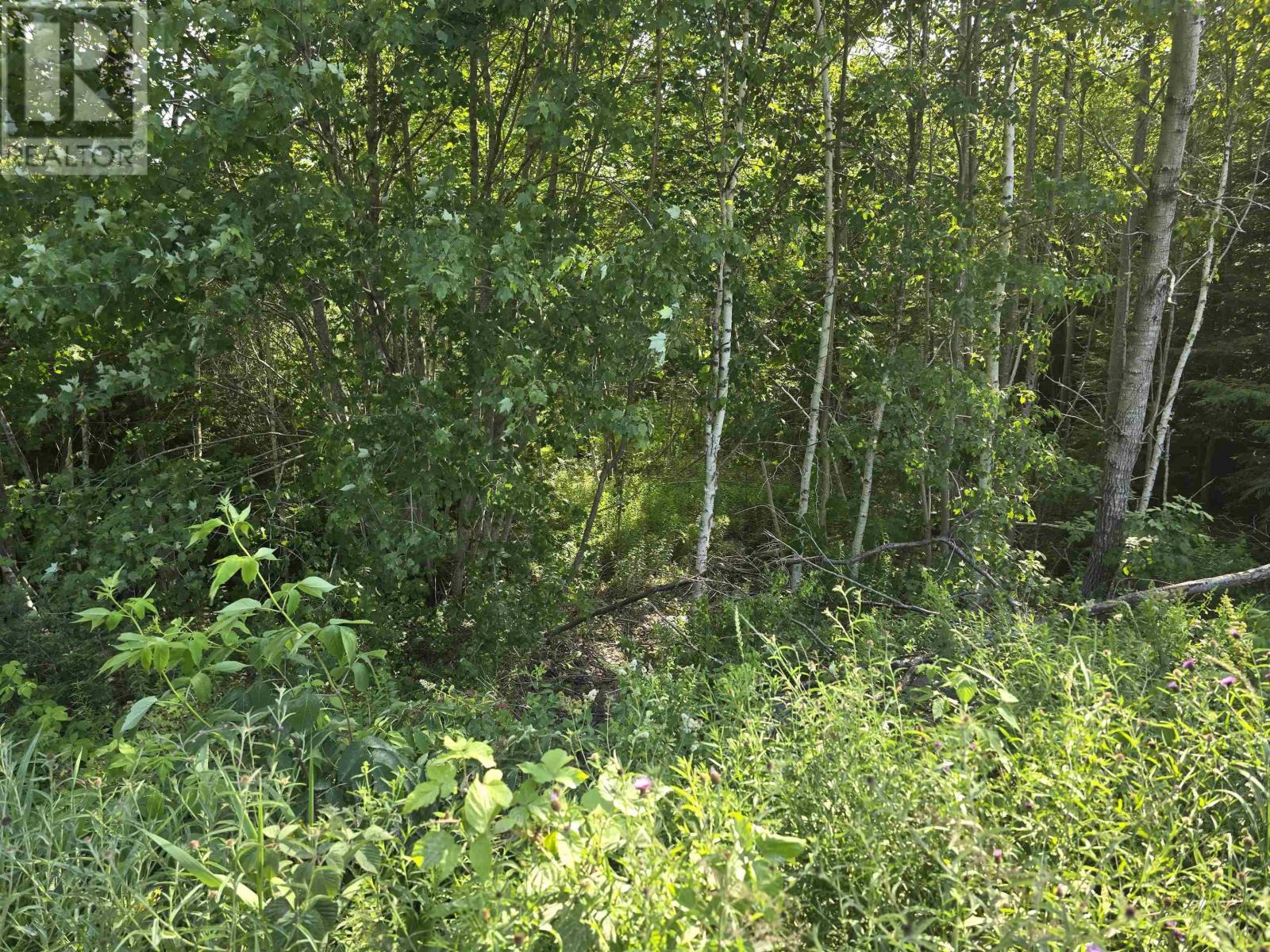 Lot 2 Highway 101