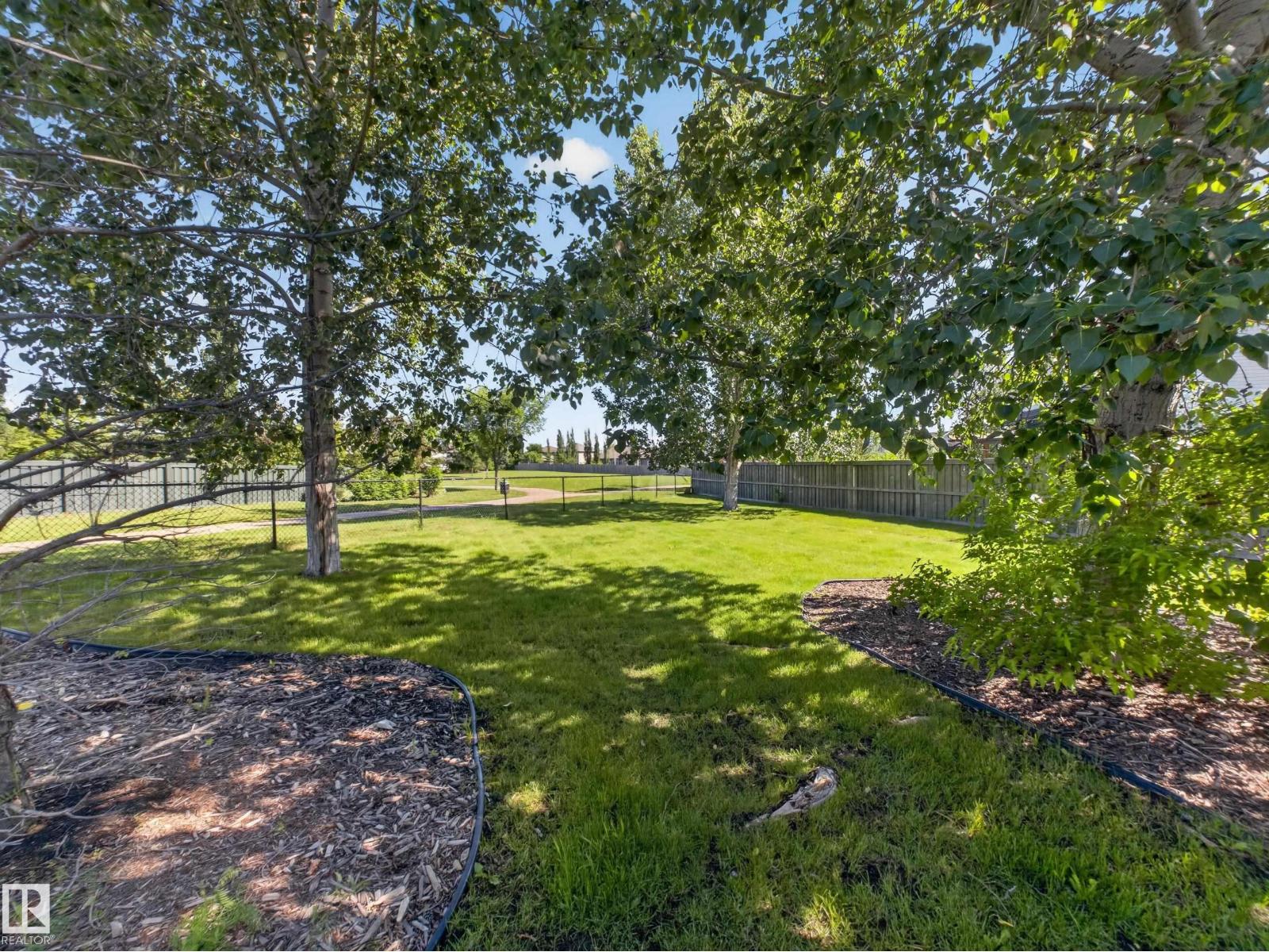Back yard under mature poplars, mulched bed, fence to the green space