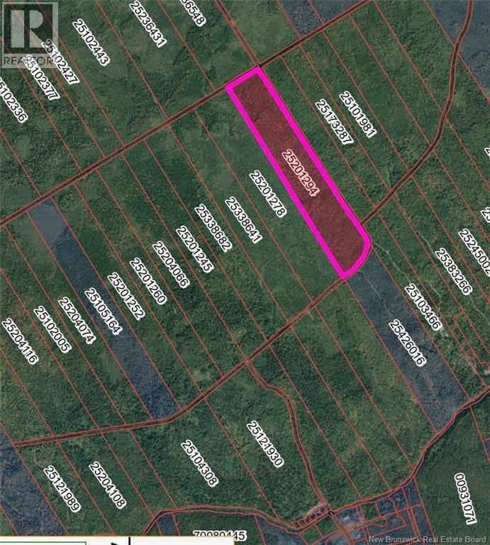 Lot on Rive Road
