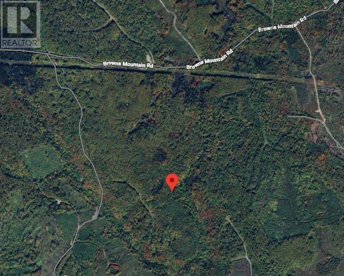 0 BROWNS MOUNTAIN ROAD, BROWNS MOUNTAIN