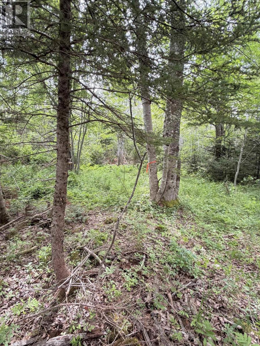 Lot 2026 Perotte Road