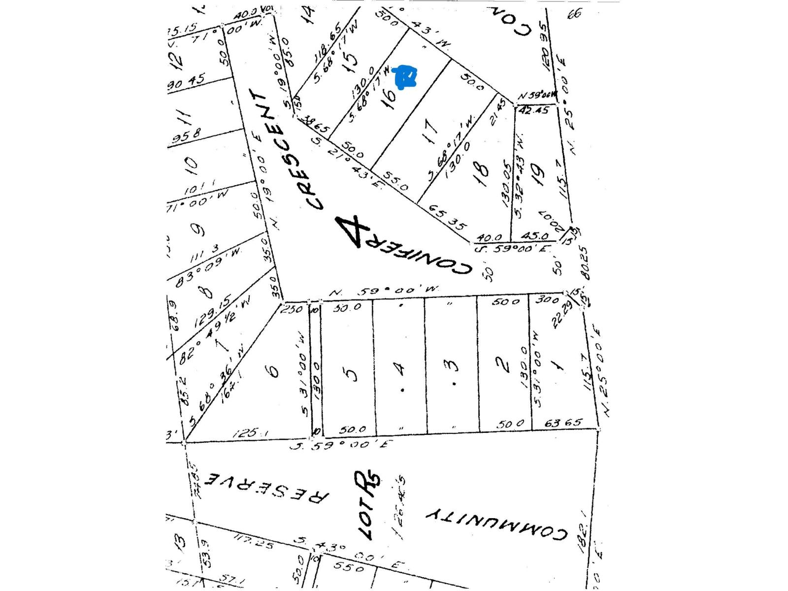 16 Conifer CR