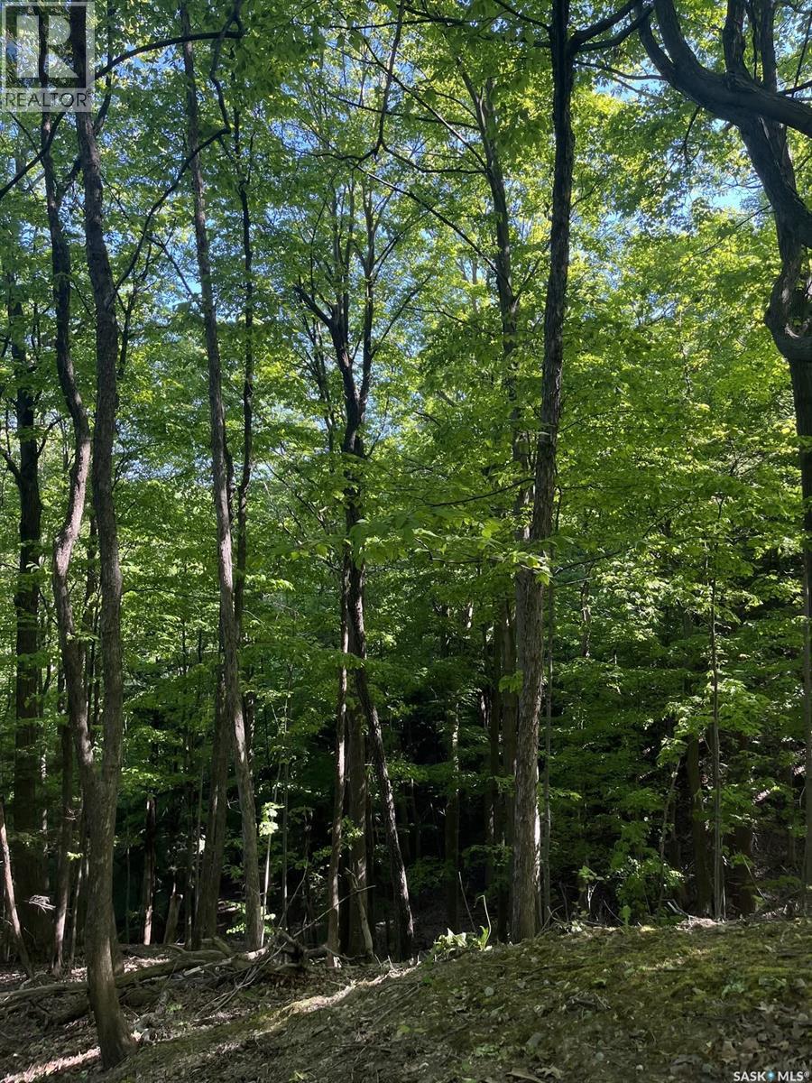 Tallon Land