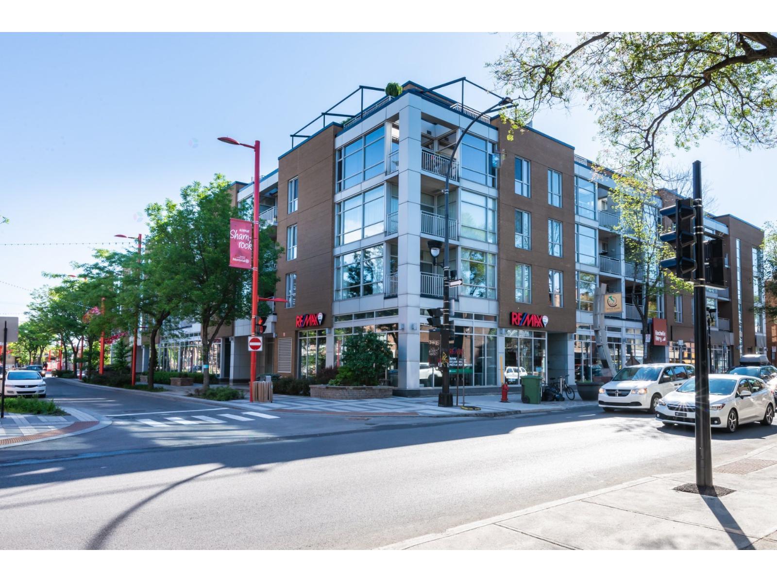 12 Av. Shamrock