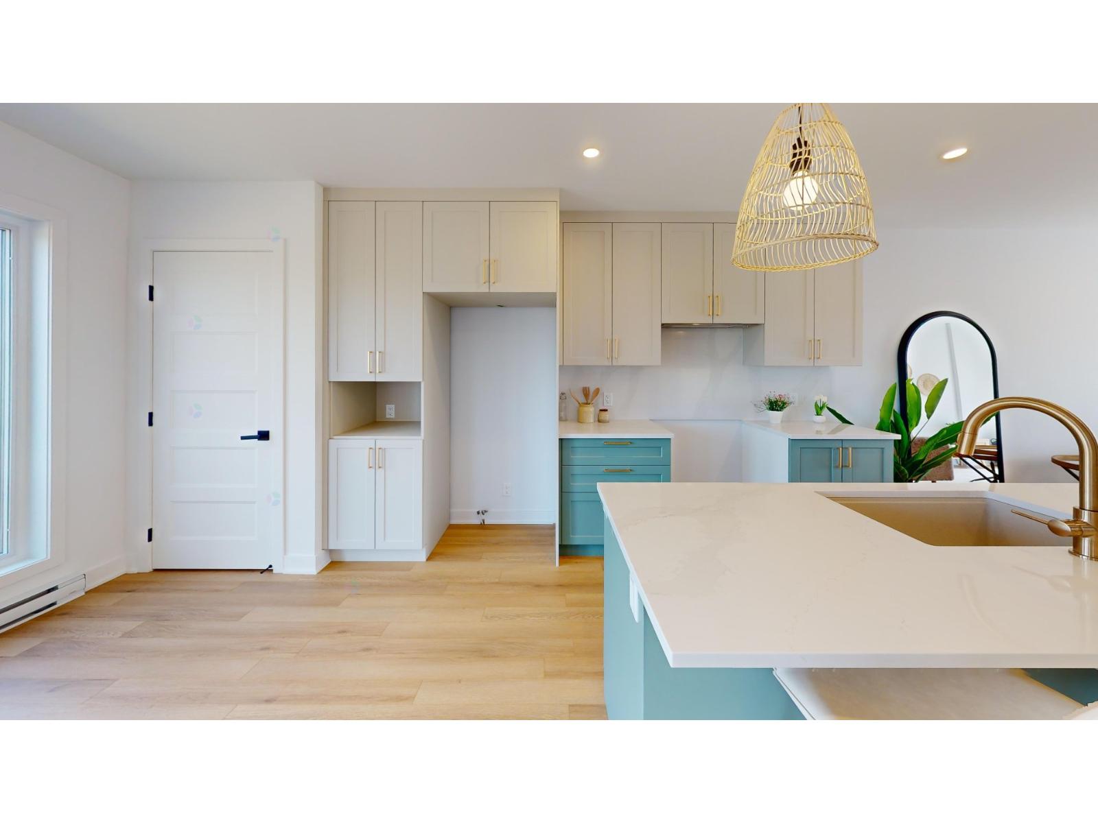 478 Rue Rosalie-Dessaulles — photo 3