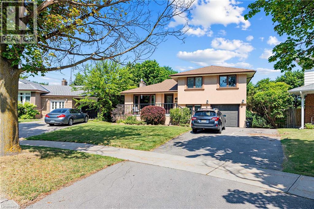 88 RABBIT Lane