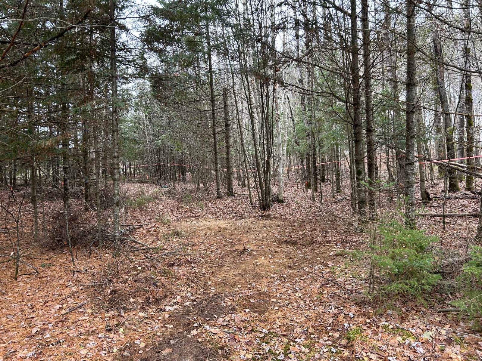 À vendre : 240 Ch. de l'Acajou, La Conception, Québec J0T1M0 - 22737325 ...