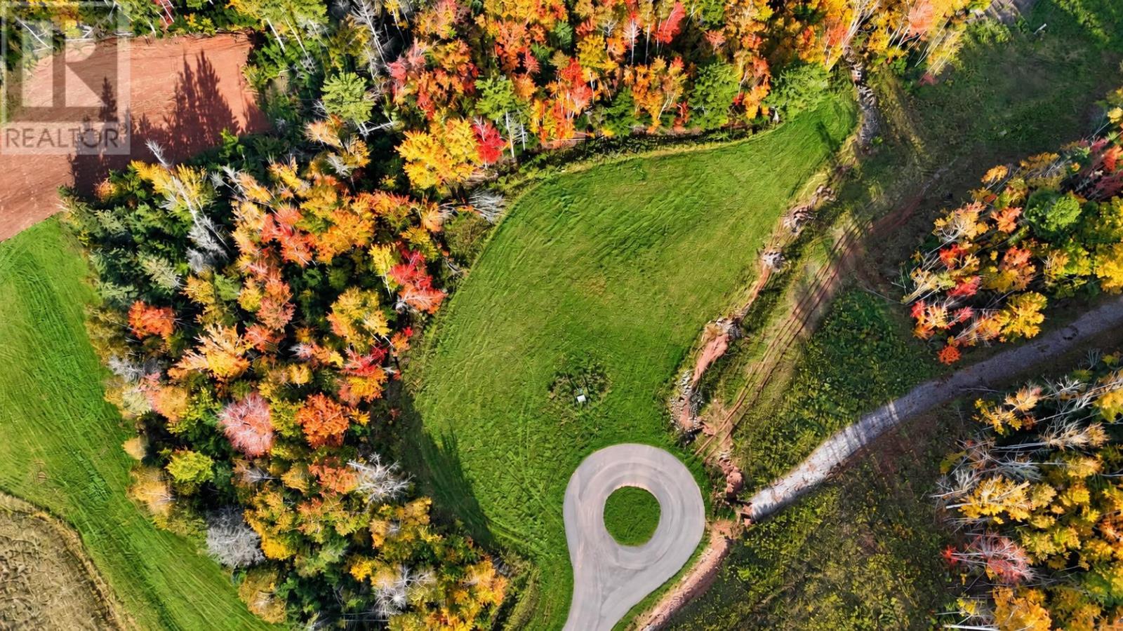 C-11 Forest View Crt
